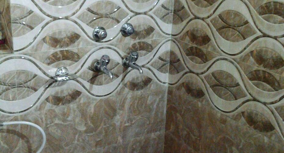 Green hotels and restaurant, Patiala 3